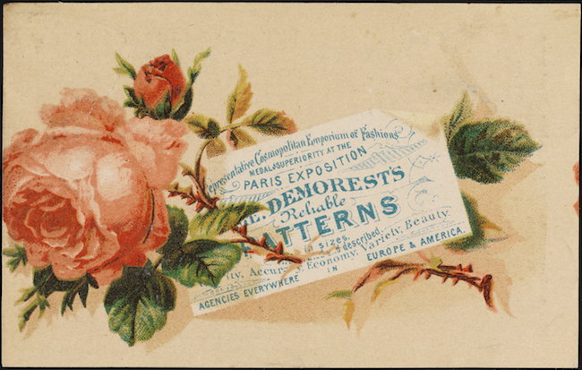 Se muestra horizontalmente a través de la imagen, una rosa rosa en plena floración con un pequeño brote encima, está unida a un tallo con hojas y espinas. Una pequeña tarjeta blanca se encuentra en el tallo con texto azul.