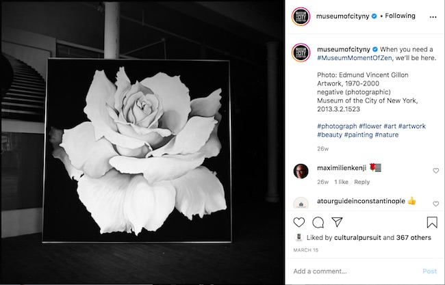 Captura de pantalla de la publicación de Instagram #MuseumMomentOfZen con una imagen de una rosa de la colección del Museo