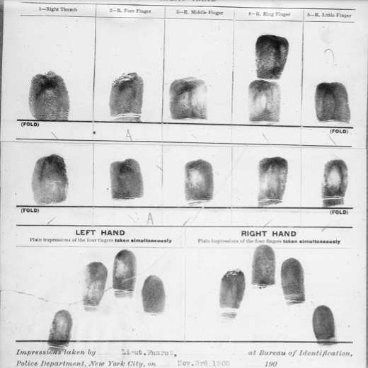 Documento que muestra impresiones dactilares de la mano izquierda y derecha de Aug. W. Schraaf