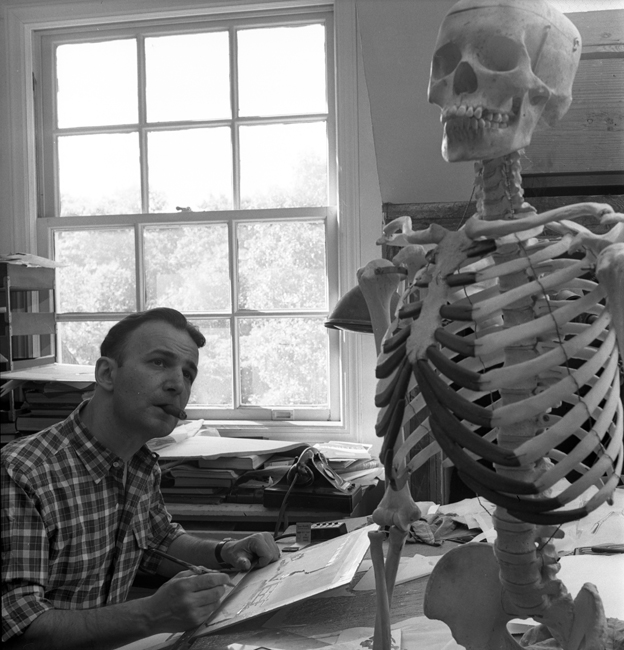 弗兰克·内特（Frank Netter）博士坐在办公桌前，抽着雪茄，画了一个坐在他面前的人体骨骼模型。