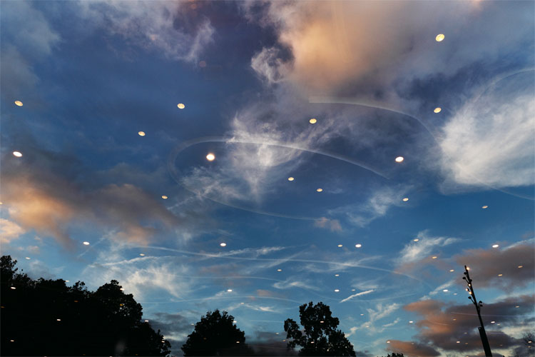El cielo nocturno en Prospect Park con reflejos de las luces desde abajo.