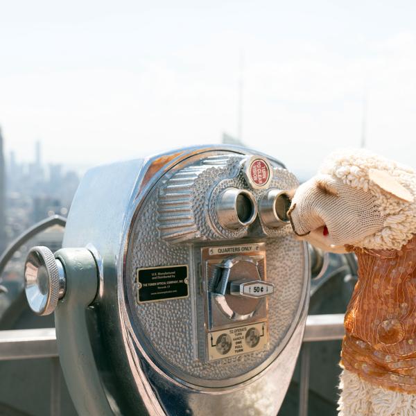 Lamb Chop no deck de observação do Rockefeller Center