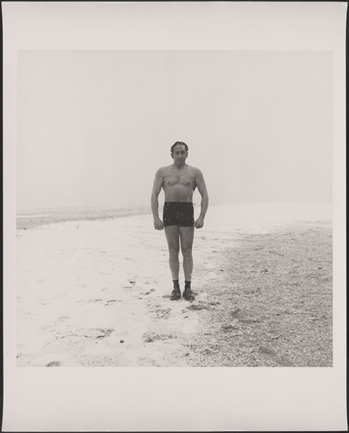 Stephen Salmieri. Oso polar, Coney Island