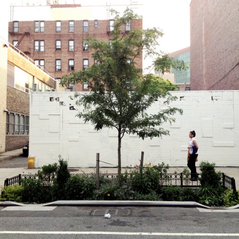 Bioswale Thumbnail