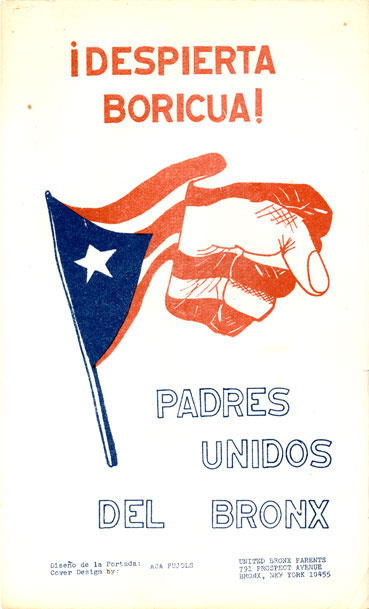 Volante con una bandera puertorriqueña ondeando, y el final de la bandera transformándose en un puño. Hay texto en español en el póster.
