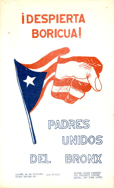 Flyer with a Puerto Rican flag waving, and the end of the flag transforming into a fist. There is Spanish text on the poster