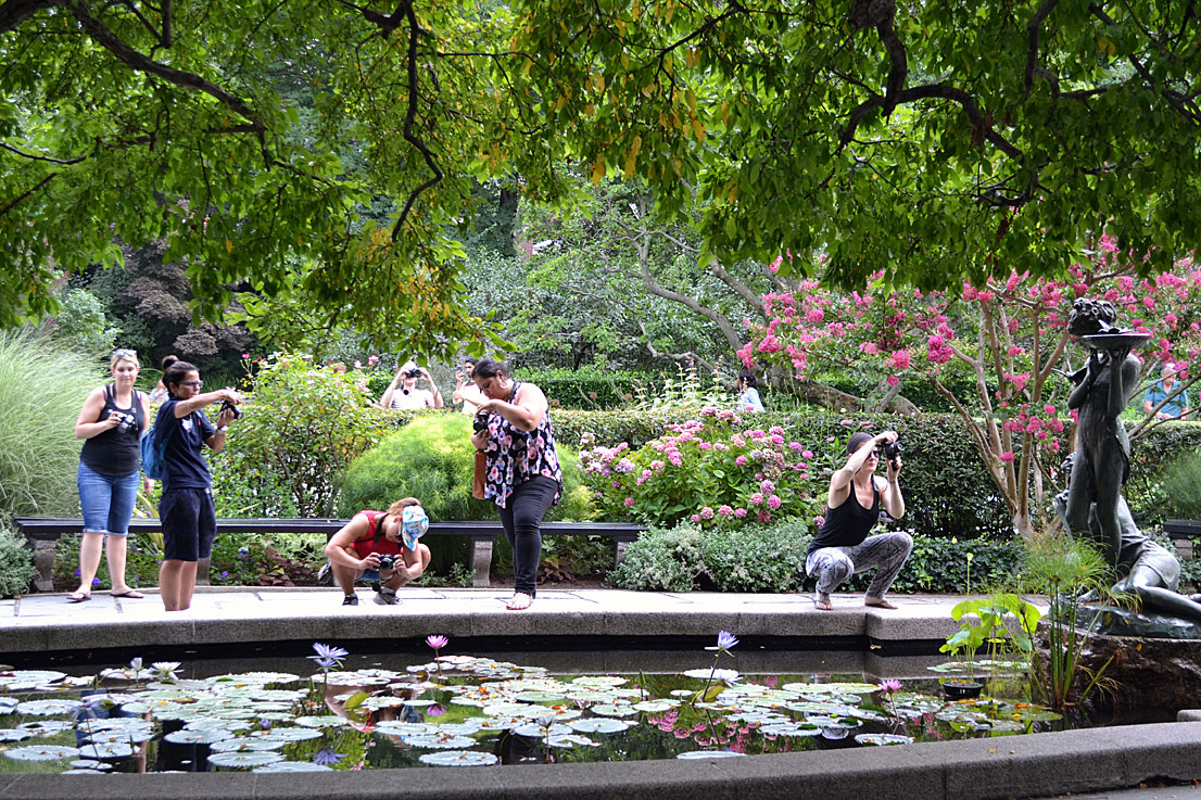 Educadores tirando fotos durante uma viagem de campo ao Central Park.