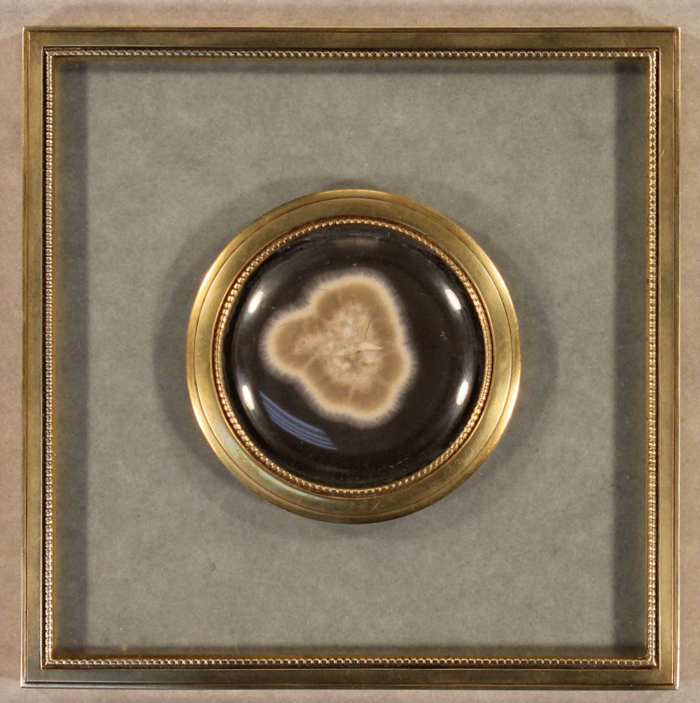Brown medallion with gold around the edge, and a blown-up image of a microbe in the center