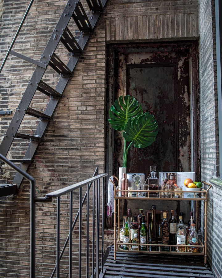 A bar cart and large, leafy plant on a fire escape.