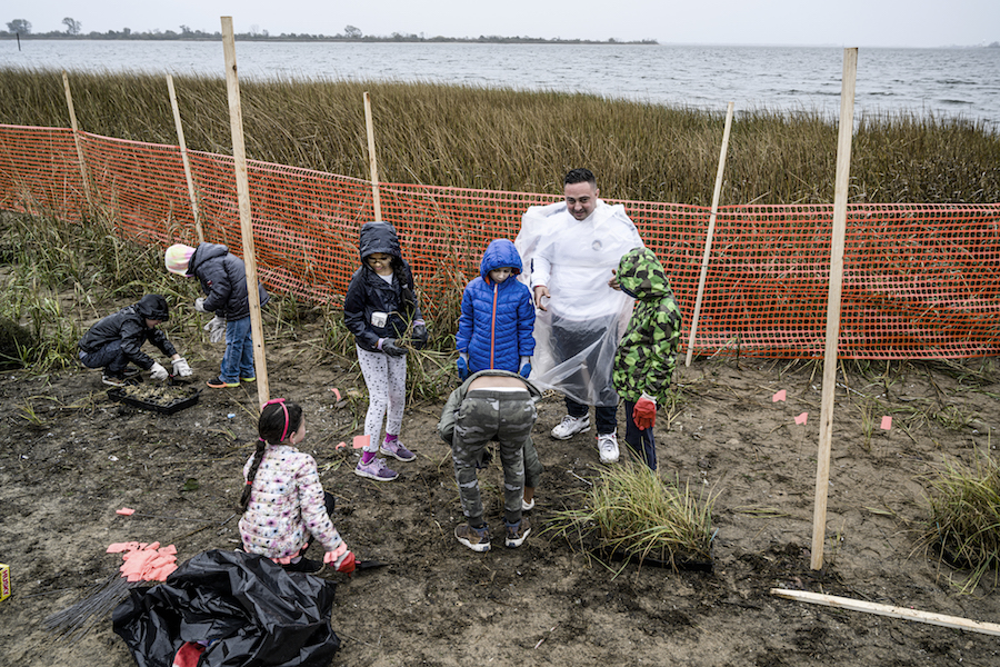 A group of six schoolchildren and one adult, all wearing heavy coats and/or rain gear are planting to prevent soil erosion in a marshy area by a waterfront in Jamaica Bay.
