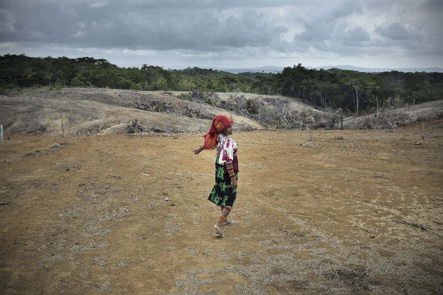 A child in traditional dress stands on a recently cleared patch of land with green trees and mountains visible in the distance.