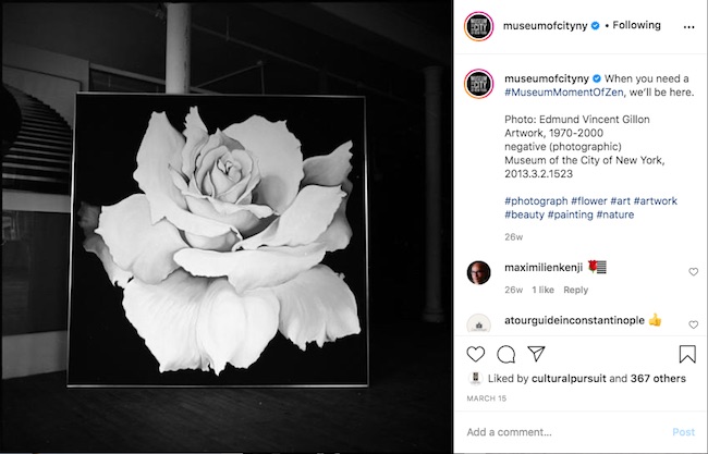 Screenshot of #MuseumMomentOfZen Instagram post featuring an image of a rose from the Museum's collection