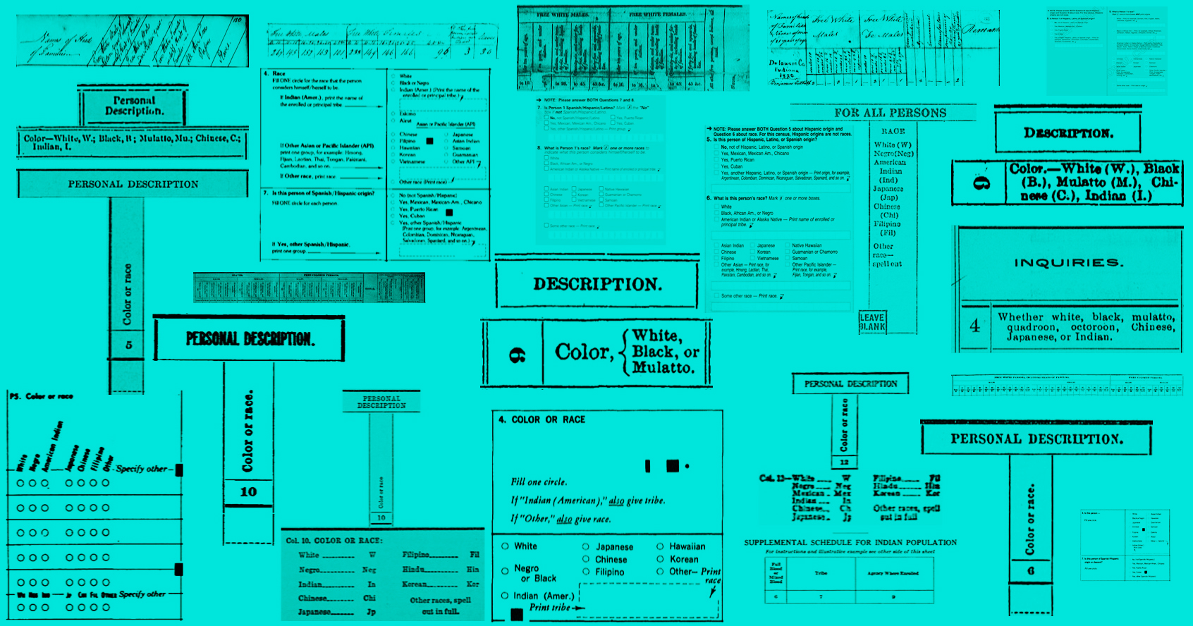 Census Collage