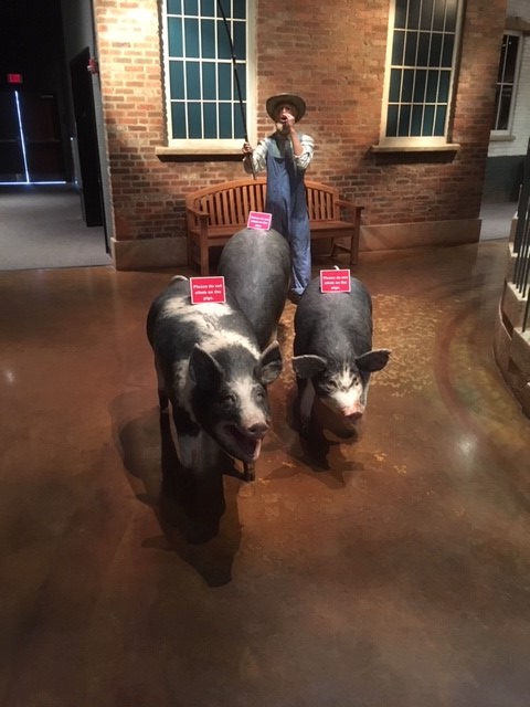 Miranda Hambro. Atrium du premier étage au Upcountry History Museum de Greenville, Caroline du Sud. 2019.