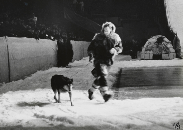 A museum photo by Wurts Bros of [Mushing at the North American Winter Sports Show] taken in 1936.