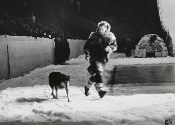 Uma foto do museu de Wurts Bros de [Mushing no North American Winter Sports Show], tirada em 1936.