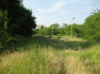 Un campo en Melrose