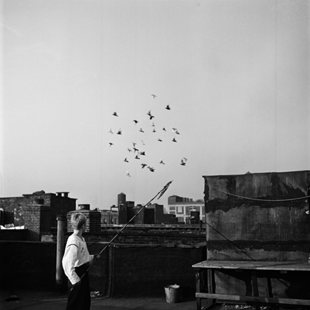 Stanley Kubrick. Shoe Shine Boy [Mickey at a rooftop pigeon coop.], 1947. Museum of the City of New York. X2011.4.10368.305
