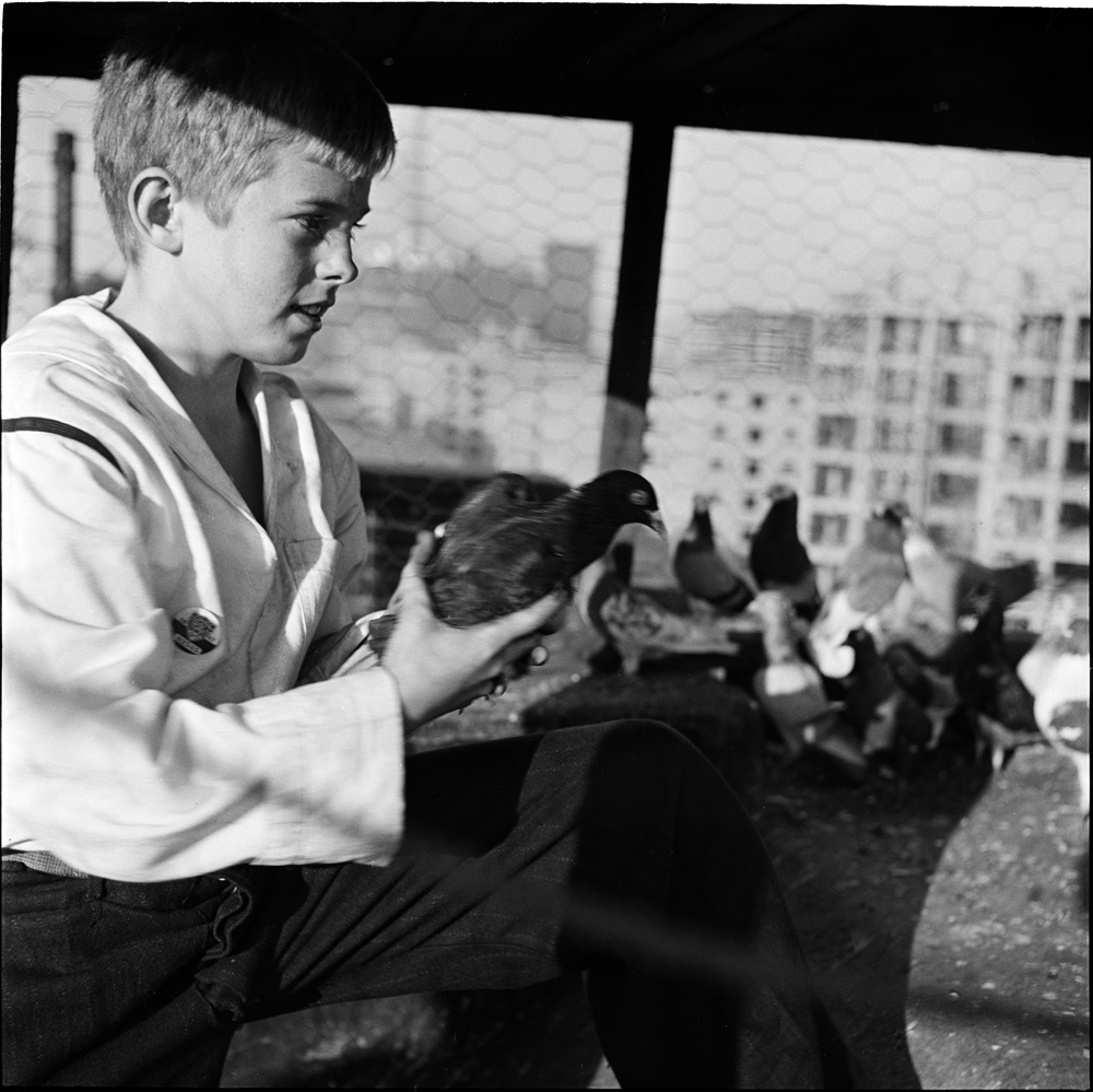 Stanley Kubrick. Shoe Shine Boy [Mickey com pombos.], 1947. Museu da cidade de Nova York. X2011.4.10368.374