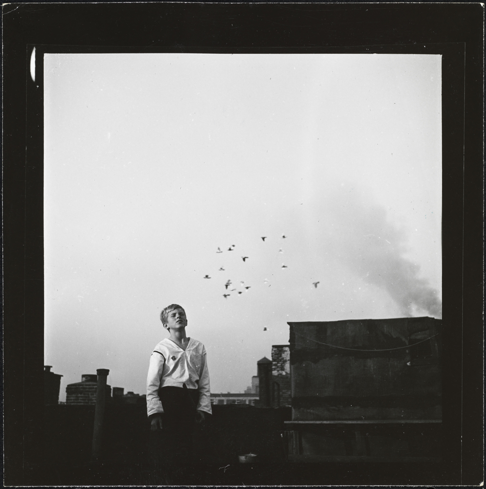 Stanley Kubrick. Shoe Shine Boy [Mickey at a rooftop pigeon coop.], 1947. Museum of the City of New York. X2011.4.10368.58