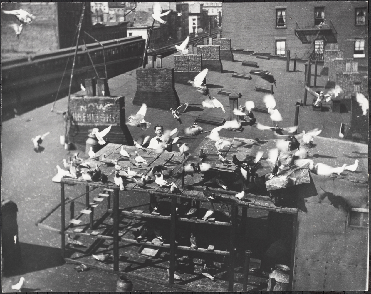 Roy Perry. Man on Roof Tending Pigeon Brood, Third Avenue, ca 1940. Museum of the City of New York. 80.102.178