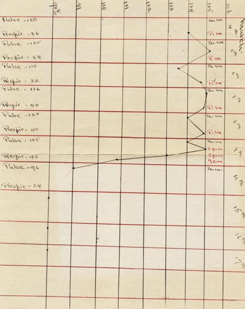 Gráfico de temperatura para um paciente do serviço de enfermagem visitante