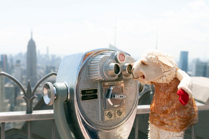  Lamb Chop at the Rockefeller Center observation deck