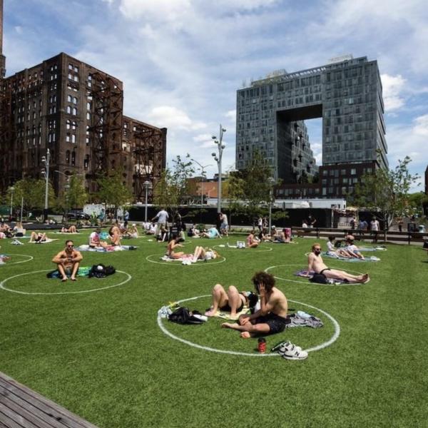 People seated on the grass in social distancing circles