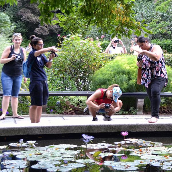 Educators taking photos during a field trip to Central Park.