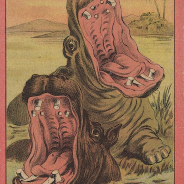 Trade card for Sells Brothers Enormous Rail Road Shows. Front of card has center image featuring two fighting hippopotami in a river against a desert backdrop.