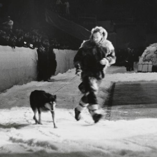 Une photo de musée par Wurts Bros de [Mushing au North American Winter Sports Show] prise en 1936.