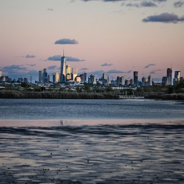 New York from the marshes around the Hackensack River in New Jersey]