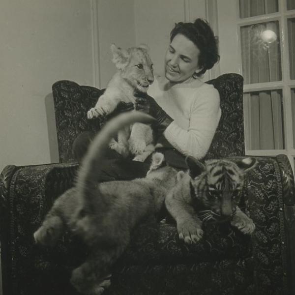 A photo of Bob Sandberg's "Zoo Pictures (Bronx)- Mrs. Fred Martini".