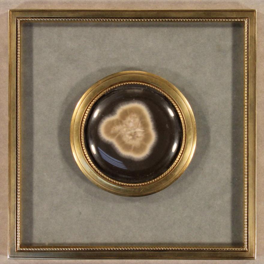 Brown medallion with gold around the edge, and a blown-up image of a microbe in the center