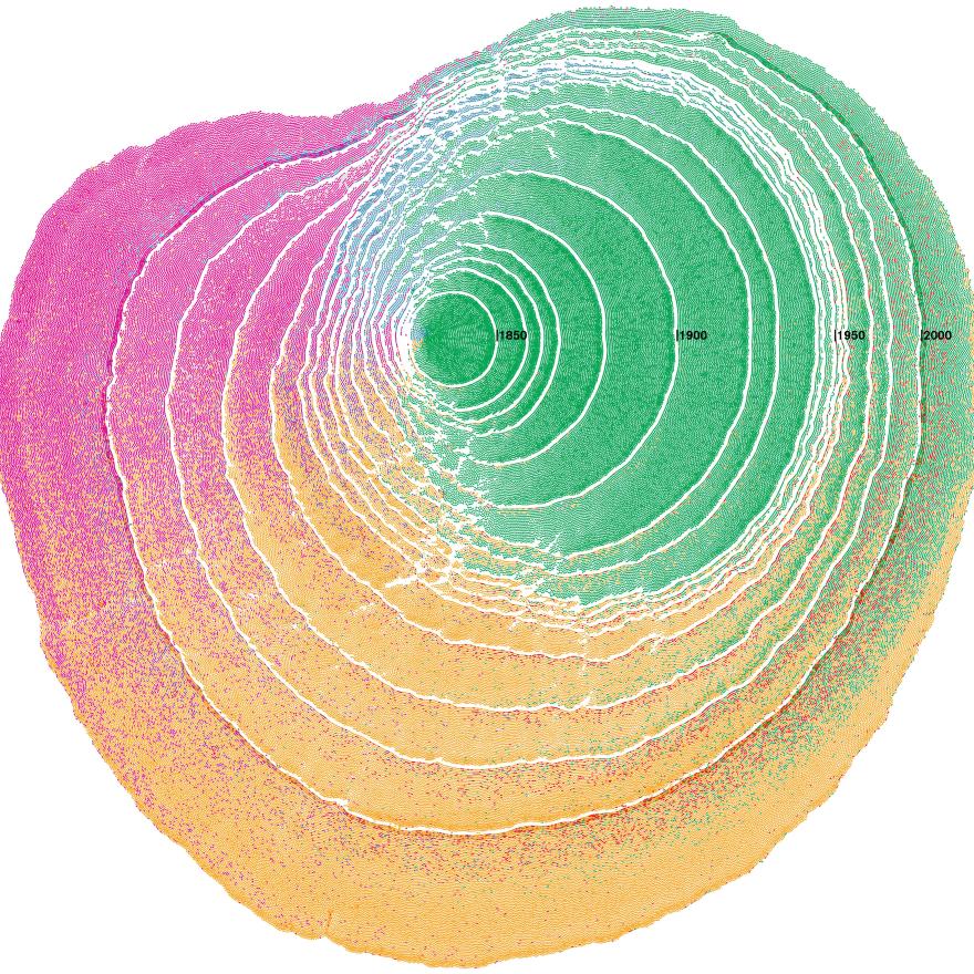 Immigration patterns to the United States visualized as tree rings.