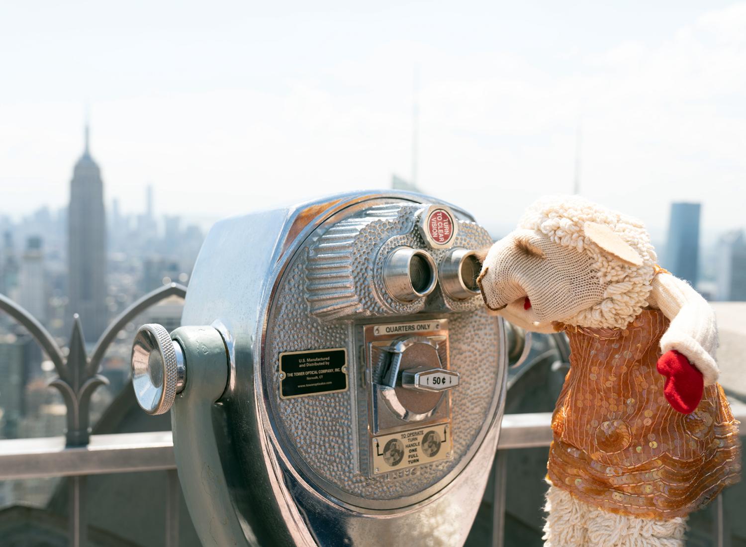  Lamb Chop at the Rockefeller Center observation deck