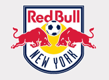 Logo for New York Red Rulls