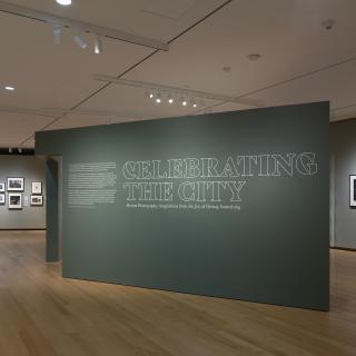 Celebrating the City Main Gallery