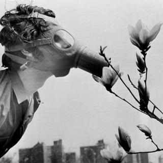 Black and white photograph of a man wearing a gas mask leaning over to smell flowers. In the background is a city skyline. 