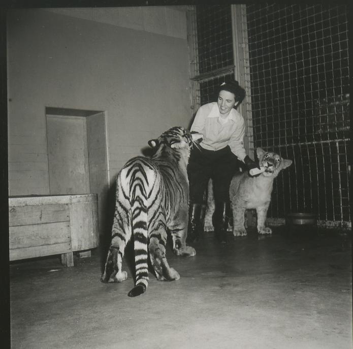 「動物園の写真（ブロンクス）-ミセス。 フレッド・マティーニ。」